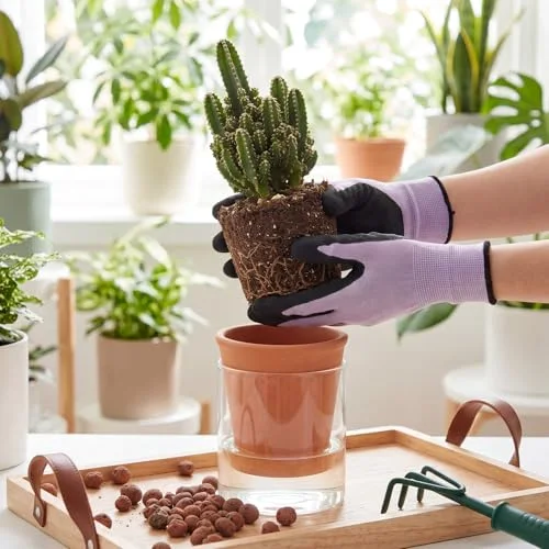 Self Watering Pot for Indoor Plants Glass Planter Small Plant Pot with Saucer Reservoir Drainage Holes Bottom Watering Pot for African Violet Orchid Flowers Houseplant view 10