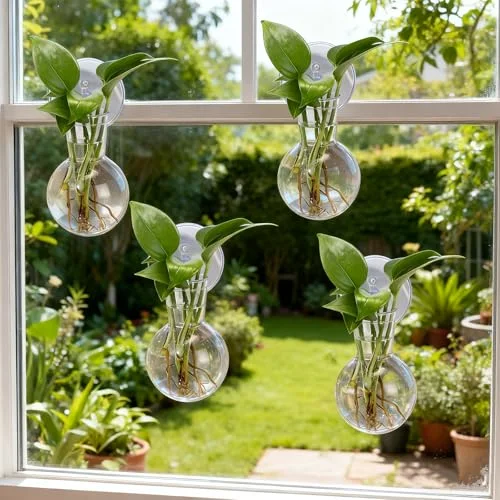 Window Propagation Stations Plastic Wall Hanging Planter with Suction Cups Brush Window Suction Plant Holder Vases Tubes Terrarium for Home Office Decor (Bulb) view 8