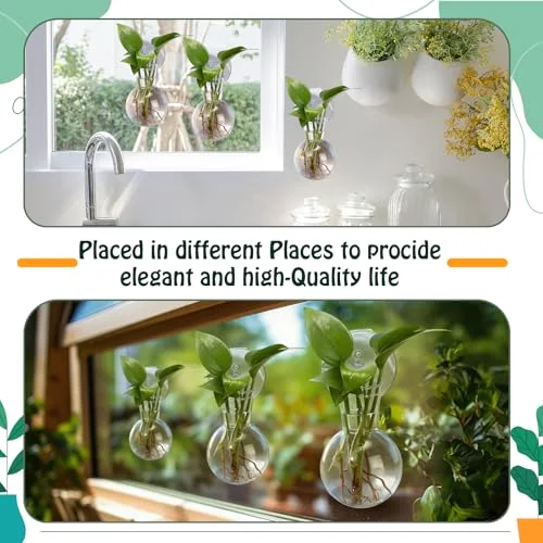 Window Propagation Stations Plastic Wall Hanging Planter with Suction Cups Brush Window Suction Plant Holder Vases Tubes Terrarium for Home Office Decor (Bulb) view 10