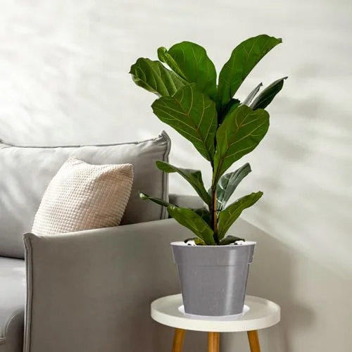 Nursery Pot view 7